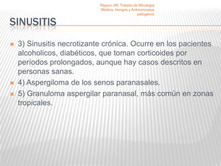Rippon JW. Tratado de Micología
                            Médica, Hongos y Actinomicetos
                                                 patógenos

SINUSITIS
   3) Sinusitis necrotizante crónica. Ocurre en los pacientes
    alcoholicos, diabéticos, que toman corticoides por
    períodos prolongados, aunque hay casos descritos en
    personas sanas.
   4) Aspergiloma de los senos paranasales.
   5) Granuloma aspergilar paranasal, más común en zonas
    tropicales.
 