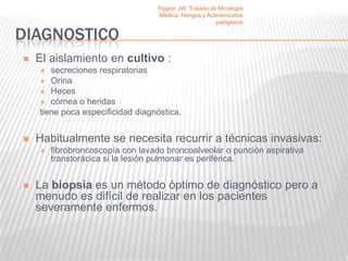 Rippon JW. Tratado de Micología
                                   Médica, Hongos y Actinomicetos
                                                        patógenos

DIAGNOSTICO
   El aislamiento en cultivo :
      secreciones respiratorias
     Orina
     Heces
     córnea o heridas
    tiene poca especificidad diagnóstica.


   Habitualmente se necesita recurrir a técnicas invasivas:
       fibrobroncoscopía con lavado broncoalveolar o punción aspirativa
        transtorácica si la lesión pulmonar es periférica.


   La biopsia es un método óptimo de diagnóstico pero a
    menudo es difícil de realizar en los pacientes
    severamente enfermos.
 