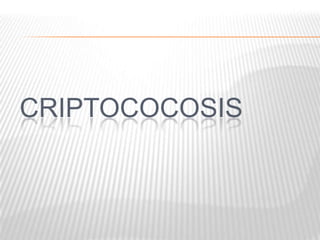 CRIPTOCOCOSIS
 