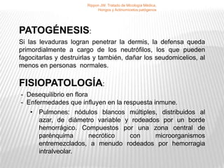Rippon JW. Tratado de Micología Médica,
                            Hongos y Actinomicetos patógenos




PATOGÉNESIS:
Si las levaduras logran penetrar la dermis, la defensa queda
primordialmente a cargo de los neutrófilos, los que pueden
fagocitarlas y destruirlas y también, dañar los seudomicelios, al
menos en personas normales.

FISIOPATOLOGÍA:
- Desequilibrio en flora
- Enfermedades que influyen en la respuesta inmune.
   • Pulmones: nódulos blancos múltiples, distribuidos al
      azar, de diámetro variable y rodeados por un borde
      hemorrágico. Compuestos por una zona central de
      parénquima         necrótico  con      microorganismos
      entremezclados, a menudo rodeados por hemorragia
      intralveolar.
 