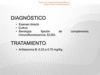 Rippon JW. Tratado de Micología Médica,
                       Hongos y Actinomicetos patógenos




DIAGNÓSTICO
 • Examen directo
 • Cultivo
 • Serología:     fijación                 de               complemento,
   inmunofluorescencia, ELISA


TRATAMIENTO:
 • Anfotericina B: 0.25 a 0.75 mg/Kg.
 
