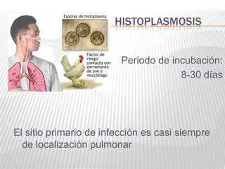 HISTOPLASMOSIS


                         Periodo de incubación:
                                      8-30 días




El sitio primario de infección es casi siempre
  de localización pulmonar
 