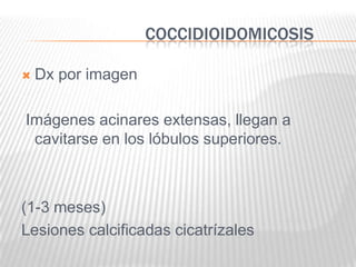 COCCIDIOIDOMICOSIS

   Dx por imagen

Imágenes acinares extensas, llegan a
 cavitarse en los lóbulos superiores.



(1-3 meses)
Lesiones calcificadas cicatrízales
 