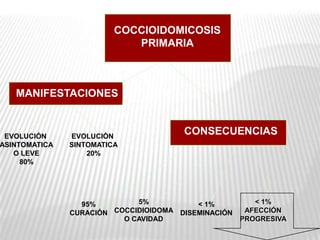 COCCIOIDOMICOSIS
                            PRIMARIA



   MANIFESTACIONES


 EVOLUCIÓN     EVOLUCIÓN
                                       CONSECUENCIAS
ASINTOMATICA   SINTOMATICA
   O LEVE          20%
     80%




                 95%         5%           < 1%          < 1%
               CURACIÓN COCCIDIOIDOMA DISEMINACIÓN    AFECCIÓN
                          O CAVIDAD                  PROGRESIVA
 