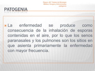 Rippon JW. Tratado de Micología
                      Médica, Hongos y Actinomicetos
                                           patógenos

PATOGENIA


   La    enfermedad     se    produce     como
    consecuencia de la inhalación de esporas
    contenidas en el aire, por lo que los senos
    paranasales y los pulmones son los sitios en
    que asienta primariamente la enfermedad
    con mayor frecuencia.
 