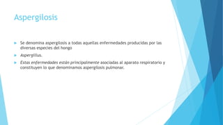 Aspergilosis
 Se denomina aspergilosis a todas aquellas enfermedades producidas por las
diversas especies del hongo
 Aspergillus.
 Estas enfermedades están principalmente asociadas al aparato respiratorio y
constituyen lo que denominamos aspergilosis pulmonar.
 