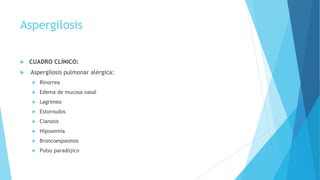 Aspergilosis
 CUADRO CLÍNICO:
 Aspergilosis pulmonar alérgica:
 Rinorrea
 Edema de mucosa nasal
 Lagrimeo
 Estornudos
 Cianosis
 Hipoxemia
 Broncoespasmos
 Pulso paradójico
 