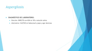 Aspergilosis
 DIAGNÓSTICO DE LABORATORIO:
 Elección: DIRECTO con KOH al 10% o solución salina
 Alternativo: CULTIVO en Sabouraud y papa y agar dextrosa
 