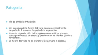 Patogenia
 Vía de entrada: Inhalación
 Los síntomas de la fiebre del valle ocurren generalmente
después de 3 semanas después de la exposición.
 Hay más reproducción del hongo en meses cálidos y mayor
contagio en época de sequia y predominan los vientos (junio a
noviembre).
 La fiebre del valle no se transmite de persona a persona.
 