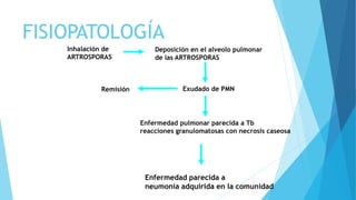 FISIOPATOLOGÍA
Inhalación de
ARTROSPORAS
Deposición en el alveolo pulmonar
de las ARTROSPORAS
Exudado de PMN
Remisión
Enfermedad pulmonar parecida a Tb
reacciones granulomatosas con necrosis caseosa
Enfermedad parecida a
neumonía adquirida en la comunidad
 