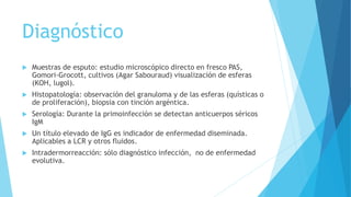 Diagnóstico
 Muestras de esputo: estudio microscópico directo en fresco PAS,
Gomori-Grocott, cultivos (Agar Sabouraud) visualización de esferas
(KOH, lugol).
 Histopatología: observación del granuloma y de las esferas (quísticas o
de proliferación), biopsia con tinción argéntica.
 Serología: Durante la primoinfección se detectan anticuerpos séricos
IgM
 Un título elevado de IgG es indicador de enfermedad diseminada.
Aplicables a LCR y otros fluidos.
 Intradermorreacción: sólo diagnóstico infección, no de enfermedad
evolutiva.
 