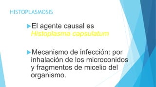 HISTOPLASMOSIS
El agente causal es
Histoplasma capsulatum
Mecanismo de infección: por
inhalación de los microconidos
y fragmentos de micelio del
organismo.
 