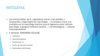 PATOGENIA
 Las microconidias de H. capsulatum entran a los alvéolos
reconocidos y fagocitados los macrófagos → la levadura crece y se
multiplica en el macrófago inactivo (usa el fagosoma como vehículo
para llegar a ganglios linfáticos locales) → vía hematógena → sistema
reticuloendotelial
 2 semanas: INMUNIDAD CELULAR
 Linfocito t
 Interferón gamma
 Interleucina 12
 Factor de necrosis tumoral
 Granulomas calcificados
 