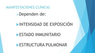 MANIFESTACIONES CLÍNICAS
Dependen de:
INTENSIDAD DE EXPOSICIÓN
ESTADO INMUNITARIO
ESTRUCTURA PULMONAR
 