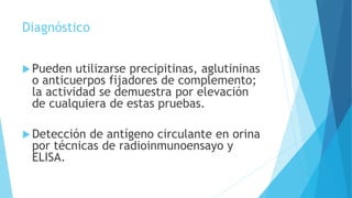 Diagnóstico
Pueden utilizarse precipitinas, aglutininas
o anticuerpos fijadores de complemento;
la actividad se demuestra por elevación
de cualquiera de estas pruebas.
Detección de antígeno circulante en orina
por técnicas de radioinmunoensayo y
ELISA.
 