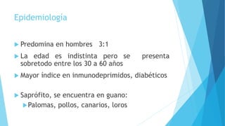 Epidemiología
 Predomina en hombres 3:1
 La edad es indistinta pero se presenta
sobretodo entre los 30 a 60 años
 Mayor índice en inmunodeprimidos, diabéticos
 Saprófito, se encuentra en guano:
Palomas, pollos, canarios, loros
 