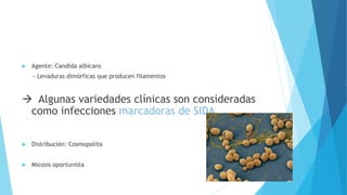  Agente: Candida albicans
- Levaduras dimórficas que producen filamentos
 Algunas variedades clínicas son consideradas
como infecciones marcadoras de SIDA.
 Distribución: Cosmopolita
 Micosis oportunista
 