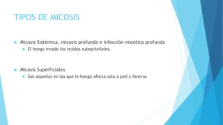 TIPOS DE MICOSIS
 Micosis Sistémica, micosis profunda e infección micótica profunda
 El hongo invade los tejidos subepiteliales.
 Micosis Superficiales
 Son aquellas en las que le hongo afecta solo a piel y faneras
 