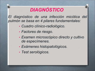 DIAGNÓSTICO
El diagnóstico de una infección micótica del
pulmón se basa en 4 pilares fundamentales:
• Cuadro clínico-radiológico.
• Factores de riesgo.
• Examen microscópico directo y cultivo
de especímenes.
• Exámenes histopatológicos.
• Test serológicos.
 