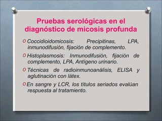 Pruebas serológicas en el
diagnóstico de micosis profunda
O Coccidioidomicosis: Precipitinas, LPA,
inmunodifusión, fijación de complemento.
O Histoplasmosis: Inmunodifusión, fijación de
complemento, LPA, Antígeno urinario.
O Técnicas de radioinmunoanálisis, ELISA y
aglutinación con látex.
O En sangre y LCR, los títulos seriados evalúan
respuesta al tratamiento.
 