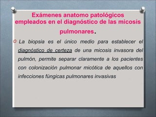 Exámenes anatomo patológicos
empleados en el diagnóstico de las micosis
pulmonares.
O La biopsia es el único medio para establecer el
diagnóstico de certeza de una micosis invasora del
pulmón, permite separar claramente a los pacientes
con colonización pulmonar micótica de aquellos con
infecciones fúngicas pulmonares invasivas
 