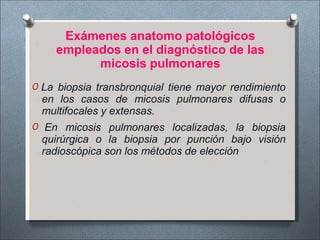 Exámenes anatomo patológicos
empleados en el diagnóstico de las
micosis pulmonares
O La biopsia transbronquial tiene mayor rendimiento
en los casos de micosis pulmonares difusas o
multifocales y extensas.
O En micosis pulmonares localizadas, la biopsia
quirúrgica o la biopsia por punción bajo visión
radioscópica son los métodos de elección
 