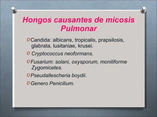 Hongos causantes de micosis
Pulmonar
O Candida: albicans, tropicalis, prapsilosis,
glabrata, lusitaniae, krusei.
O Cryptococcus neoformans.
O Fusarium: solani, oxysporum, moniliforme
Zygomicetes.
O Pseudallescheria boydii.
O Genero Penicilium.
 
