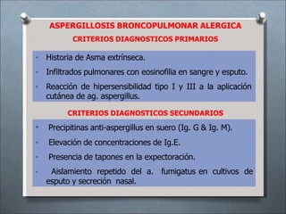 ASPERGILLOSIS BRONCOPULMONAR ALERGICA
CRITERIOS DIAGNOSTICOS PRIMARIOS
• Historia de Asma extrínseca.
• Infiltrados pulmonares con eosinofilia en sangre y esputo.
• Reacción de hipersensibilidad tipo I y III a la aplicación
cutánea de ag. aspergillus.
CRITERIOS DIAGNOSTICOS SECUNDARIOS
• Precipitinas anti-aspergillus en suero (Ig. G & Ig. M).
• Elevación de concentraciones de Ig.E.
• Presencia de tapones en la expectoración.
• Aislamiento repetido del a. fumigatus en cultivos de
esputo y secreción nasal.
 