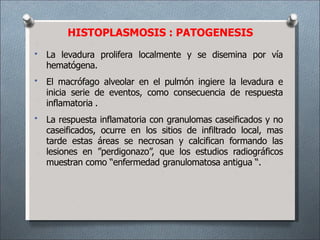 HISTOPLASMOSIS : PATOGENESIS
•
•
•
La levadura prolifera localmente y se disemina por vía
hematógena.
El macrófago alveolar en el pulmón ingiere la levadura e
inicia serie de eventos, como consecuencia de respuesta
inflamatoria .
La respuesta inflamatoria con granulomas caseificados y no
caseificados, ocurre en los sitios de infiltrado local, mas
tarde estas áreas se necrosan y calcifican formando las
lesiones en ”perdigonazo”, que los estudios radiográficos
muestran como “enfermedad granulomatosa antigua “.
 