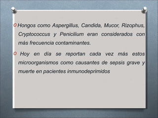 O Hongos como Aspergillus, Candida, Mucor, Rizophus,
Cryptococcus y Penicilium eran considerados con
más frecuencia contaminantes.
O Hoy en día se reportan cada vez más estos
microorganismos como causantes de sepsis grave y
muerte en pacientes inmunodeprimidos
 