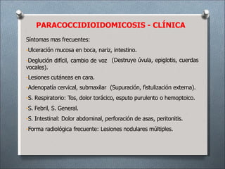 PARACOCCIDIOIDOMICOSIS - CLÍNICA
Síntomas mas frecuentes:
•Ulceración mucosa en boca, nariz, intestino.
(Destruye úvula, epiglotis, cuerdas
•Deglución difícil, cambio de voz
vocales).
•Lesiones cutáneas en cara.
•Adenopatía cervical, submaxilar (Supuración, fistulización externa).
•S. Respiratorio: Tos, dolor torácico, esputo purulento o hemoptoico.
•S. Febril, S. General.
•S. Intestinal: Dolor abdominal, perforación de asas, peritonitis.
•Forma radiológica frecuente: Lesiones nodulares múltiples.
 