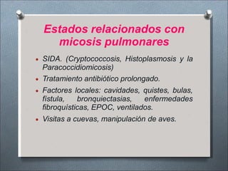 Estados relacionados con
micosis pulmonares
 SIDA. (Cryptococcosis, Histoplasmosis y la
Paracoccidiomicosis)
 Tratamiento antibiótico prolongado.
 Factores locales: cavidades, quistes, bulas,
fístula, bronquiectasias, enfermedades
fibroquísticas, EPOC, ventilados.
 Visitas a cuevas, manipulación de aves.
 