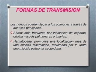 FORMAS DE TRANSMISION
Los hongos pueden llegar a los pulmones a través de
dos vías principales:
O Aérea: más frecuente por inhalación de esporas,
origina micosis pulmonares primarias.
O Hematógena: promueve una localización más de
una micosis diseminada, resultando por lo tanto
una micosis pulmonar secundaria.
 
