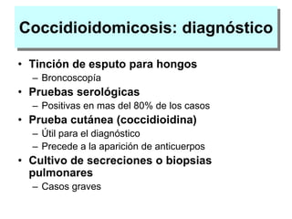 Coccidioidomicosis: diagnóstico
• Tinción de esputo para hongos
– Broncoscopía
• Pruebas serológicas
– Positivas en mas del 80% de los casos
• Prueba cutánea (coccidioidina)
– Útil para el diagnóstico
– Precede a la aparición de anticuerpos
• Cultivo de secreciones o biopsias
pulmonares
– Casos graves
 