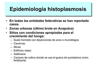 Epidemiología histoplasmosis
• En todas las entidades federativas se han reportado
casos.
• Zonas urbanas (último brote en Acapulco)
• Sitios con condiciones apropiadas para el
crecimiento del hongo:
– Suelo húmedo con deyecciones de aves o murciélagos
– Cavernas
– Minas
– Edificios viejos
– Gallineros
– Campos de cultivo donde se usa el guano de quirópteros como
fertilizante.
 