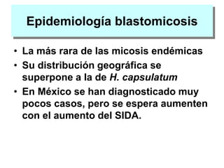 Epidemiología blastomicosis
• La más rara de las micosis endémicas
• Su distribución geográfica se
superpone a la de H. capsulatum
• En México se han diagnosticado muy
pocos casos, pero se espera aumenten
con el aumento del SIDA.
 