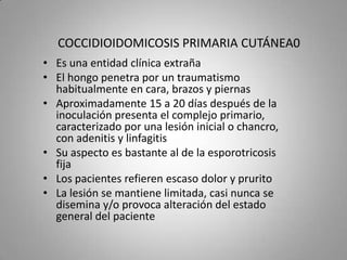 COCCIDIOIDOMICOSIS PRIMARIA CUTÁNEA0
• Es una entidad clínica extraña
• El hongo penetra por un traumatismo
habitualmente en cara, brazos y piernas
• Aproximadamente 15 a 20 días después de la
inoculación presenta el complejo primario,
caracterizado por una lesión inicial o chancro,
con adenitis y linfagitis
• Su aspecto es bastante al de la esporotricosis
fija
• Los pacientes refieren escaso dolor y prurito
• La lesión se mantiene limitada, casi nunca se
disemina y/o provoca alteración del estado
general del paciente

 