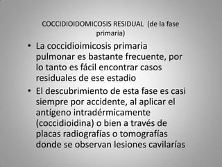 COCCIDIOIDOMICOSIS RESIDUAL (de la fase
primaria)

• La coccidioimicosis primaria
pulmonar es bastante frecuente, por
lo tanto es fácil encontrar casos
residuales de ese estadio
• El descubrimiento de esta fase es casi
siempre por accidente, al aplicar el
antígeno intradérmicamente
(coccidioidina) o bien a través de
placas radiografías o tomografías
donde se observan lesiones cavilarías

 