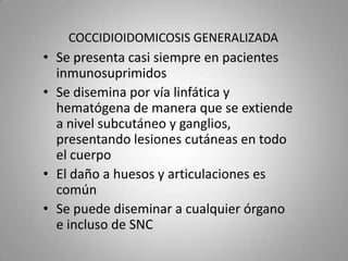 COCCIDIOIDOMICOSIS GENERALIZADA

• Se presenta casi siempre en pacientes
inmunosuprimidos
• Se disemina por vía linfática y
hematógena de manera que se extiende
a nivel subcutáneo y ganglios,
presentando lesiones cutáneas en todo
el cuerpo
• El daño a huesos y articulaciones es
común
• Se puede diseminar a cualquier órgano
e incluso de SNC

 