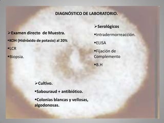 DIAGNÓSTICO DE LABORATORIO.
Serológicos
Examen directo de Muestra.

Intradermorreacción.

KOH (Hidróxido de potasio) al 20%

ELISA

LCR

Fijación de
Complemento

Biopsia.

B.H

Cultivo.

Sabouraud + antibiótico.
Colonias blancas y vellosas,
algodonosas.

 
