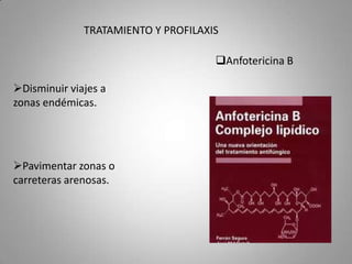 TRATAMIENTO Y PROFILAXIS
Anfotericina B
Disminuir viajes a
zonas endémicas.

Pavimentar zonas o
carreteras arenosas.

 