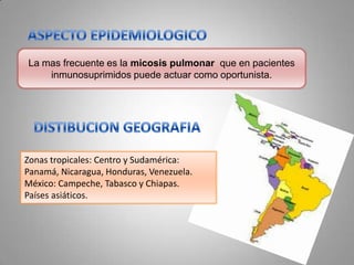 La mas frecuente es la micosis pulmonar que en pacientes
inmunosuprimidos puede actuar como oportunista.

Zonas tropicales: Centro y Sudamérica:
Panamá, Nicaragua, Honduras, Venezuela.
México: Campeche, Tabasco y Chiapas.
Países asiáticos.

 