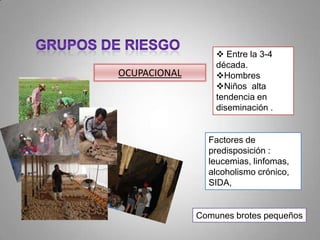 OCUPACIONAL

 Entre la 3-4
década.
Hombres
Niños alta
tendencia en
diseminación .

Factores de
predisposición :
leucemias, linfomas,
alcoholismo crónico,
SIDA,

Comunes brotes pequeños

 