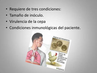 •
•
•
•

Requiere de tres condiciones:
Tamaño de inóculo.
Virulencia de la cepa
Condiciones inmunológicas del paciente.

 