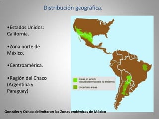 Distribución geográfica.
•Estados Unidos:
California.
•Zona norte de
México.

•Centroamérica.
•Región del Chaco
(Argentina y
Paraguay)

González y Ochoa delimitaron las Zonas endémicas de México

 