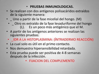 • PRUEBAS INMUNOLOGICAS.
• Se realizan con dos antígenos polisacáridos extraídos
de la siguiente manera:
• _ Uno a partir de la fase micelial del hongo. (M)
• _ Otro es extraído de la fase levaduriforme del hongo
(L). Es un poco más antigénico que el M.
• A partir de los antígenos anteriores se realizan las
siguientes pruebas:
• _IDR A LA HISTOPLASMINA: (ÍNTRADERMO REACCIÓN)
• La cual solo es útil en el primo contacto.
• Nos demuestra hipersensibilidad retardada.
• Esta prueba puede ser positiva de 4-8 semanas
después de la infección.
• FIJACION DEL COMPLEMENTO

 