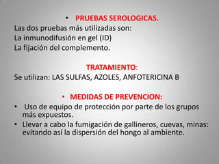 • PRUEBAS SEROLOGICAS.
Las dos pruebas más utilizadas son:
La inmunodifusión en gel (ID)
La fijación del complemento.
TRATAMIENTO:
Se utilizan: LAS SULFAS, AZOLES, ANFOTERICINA B

• MEDIDAS DE PREVENCION:
• Uso de equipo de protección por parte de los grupos
más expuestos.
• Llevar a cabo la fumigación de gallineros, cuevas, minas:
evitando así la dispersión del hongo al ambiente.

 