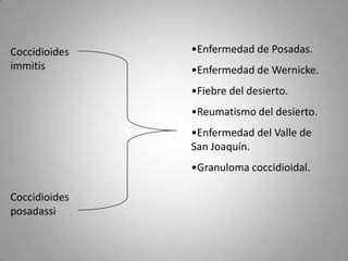 Coccidioides
immitis

•Enfermedad de Posadas.
•Enfermedad de Wernicke.

•Fiebre del desierto.
•Reumatismo del desierto.
•Enfermedad del Valle de
San Joaquín.
•Granuloma coccidioidal.
Coccidioides
posadassi

 