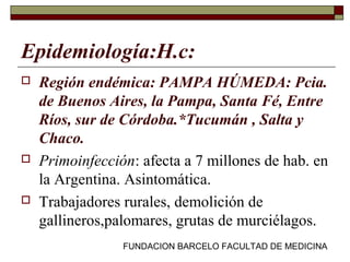 FUNDACION BARCELO FACULTAD DE MEDICINA
Epidemiología:H.c:
 Región endémica: PAMPA HÚMEDA: Pcia.
de Buenos Aires, la Pampa, Santa Fé, Entre
Ríos, sur de Córdoba.*Tucumán , Salta y
Chaco.
 Primoinfección: afecta a 7 millones de hab. en
la Argentina. Asintomática.
 Trabajadores rurales, demolición de
gallineros,palomares, grutas de murciélagos.
 