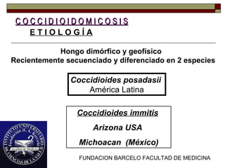 FUNDACION BARCELO FACULTAD DE MEDICINA
C O C C I D I O I D O M I C O S I SC O C C I D I O I D O M I C O S I S
E T I O L O G Í A
Hongo dimórfico y geofísico
Recientemente secuenciado y diferenciado en 2 especies
Coccidioides immitis
Arizona USA
Michoacan (México)
Coccidioides posadasii
América Latina
 
